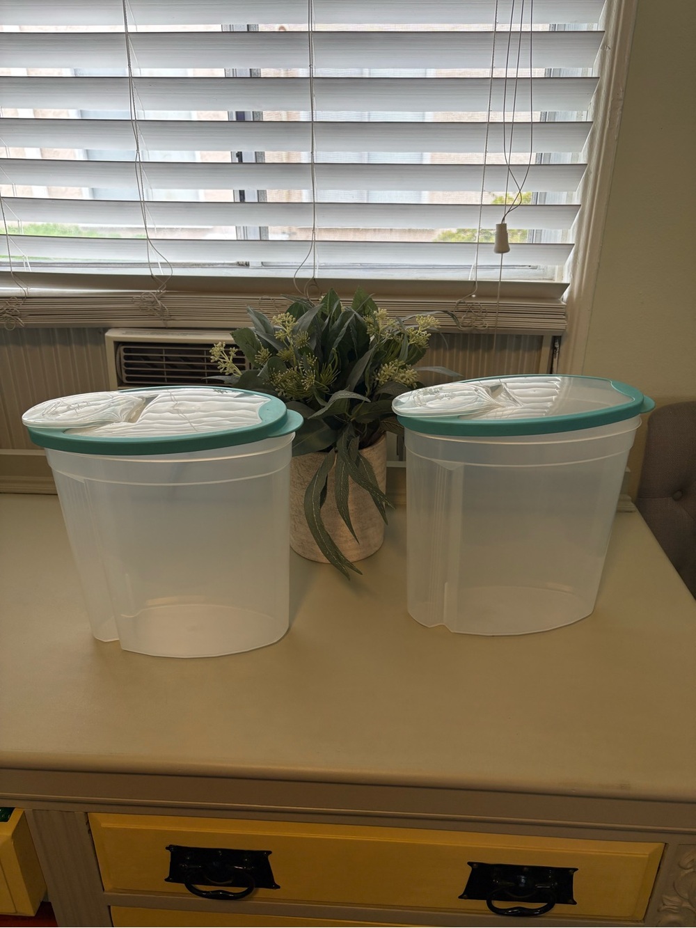 Rubbermaid Clear Food Storage Containers with Teal Lids - Set of 2